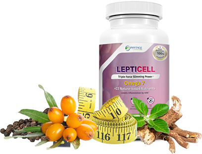 LeptiCell Logo